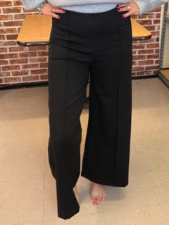 Pants, Wide Leg Front Seam Pant