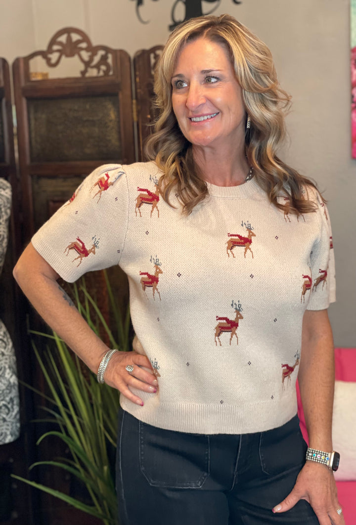 Tops, Reindeer Sweater